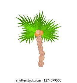 Flat palm tree icon isolated on white background