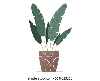 Flat palm tree in a pot illustration. Vector palm tree isolated color icon on white background. Minimal floral flat illustration of elegant green palm tree leaves for trendy modern design.