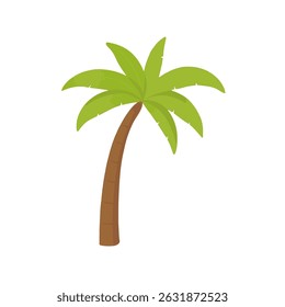 flat palm trees with coconuts, tropical beach vector
