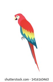 Flat parrot macaw isolated on white background. Vector illustration