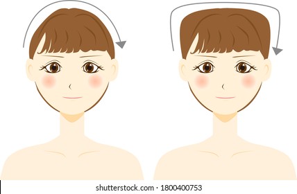 flat part on the top of the cranium.
