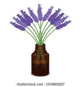 Flat pattern bottle of lavender essential oil. Lavender flowers. Isolated, white. Vector