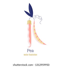 Flat pea vector icon illustration isolated on white background.Pea icon eps. Healthy food vector illustration 