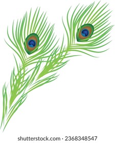 flat peacock feathers, an Indian holiday symbol.