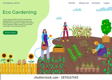 Flat People Eco Group Work In Cartoon Garden, Vector Illustration. Man Woman At Agriculture Organic Outdoor Gardening. Farmer Man Woman Character Design Plant Farming Natural Vegetable Background.