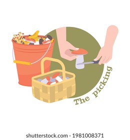 Composición de hongos de acopio plano con cubo de cesta y manos con ilustración de vector de cuchillos