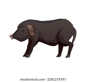 Flat pig breed against white background vector illustration