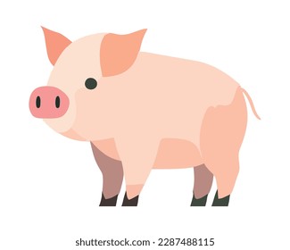 flat pig illustration over white