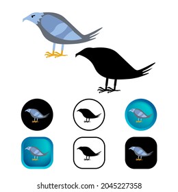 Colección de iconos de pájaro de un pichón plano