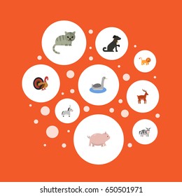 Flat Piggy, Hound, Jackass And Other Vector Elements. Set Of Mammal Flat Symbols Also Includes Forest, Neck, Horns Objects.