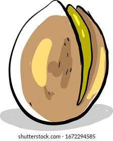Flat pistachio, illustration, vector on white background.