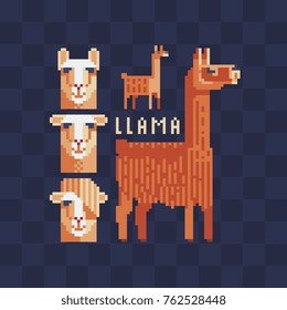 Flat pixel art icons set. Llama characters. Isolated vector illustration. Pixel art style. 8-bit sprite. 