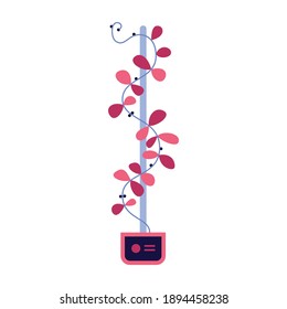 Flat plant growing in smart garden pot vector illustration