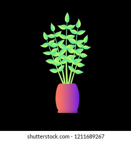 Flat plant. Indoor. Flower pots. Leaves. Foliage. Trendy vector collection. Potted plant. Garden. Jungle. Flat design. Gradient colors. Outdoor. Tropical.