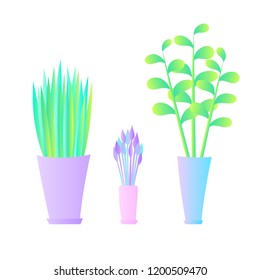 Flat plants set. Indoor plants. Flower pots. Leaves. Foliage. Isometric. Trendy vector collection. Plants collection isolated on white. Flat design. Gradient colors. Outdoor. Tropical.