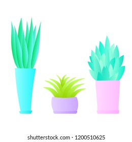 Flat plants set. Indoor plants. Flower pots. Leaves. Foliage. Isometric. Trendy vector collection. Plants collection isolated on white. Flat design. Gradient colors. Outdoor. Tropical.