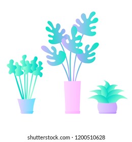 Flat plants set. Indoor plants. Flower pots. Leaves. Foliage. Isometric. Trendy vector collection. Plants collection isolated on white. Flat design. Gradient colors. Outdoor. Tropical.