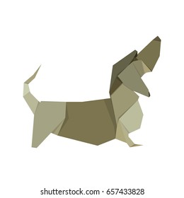 Flat Polygonal Dog.
