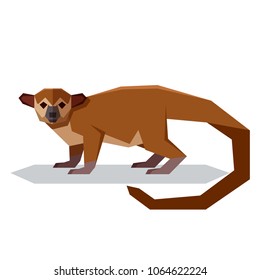 Flat polygonal Kinkajou