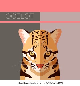 Flat postcard with Ocelot