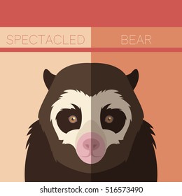 Flat postcard with Spectacled Bear