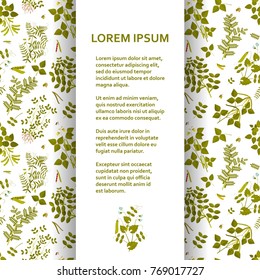 Flat poster or banner template with legume plants. Vector illustration.