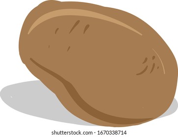 Flat potato, illustration, vector on white background.