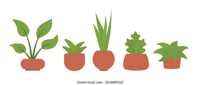 Flat Potted House Plant Set Free Vector Illustration For Interior Decorative