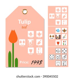 Flat price tag for Tulip. Three sets Flower Care icons. Tags Design for flowers. Label for floral market. Vector Illustration. Isolated on white background