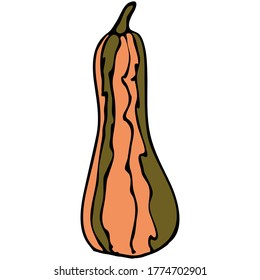 Flache Kürbis-Stock-Vektorgrafik. Lange Kürbis einzeln auf weißem Hintergrund. Karikaturenkürbis reif gestreifte Kürbis. Zum Drucken, Dekorieren, Plakat etc.