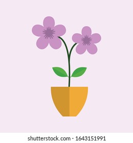 Flat purple allamanda flower vector in the pot, art vector, flower icon logo design