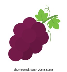 Flat Purple Grapes Vector Png For Icon Logo And Clipart In Cartoon Doodle For Fruits List Kids And Children Drawing And Coloring Book