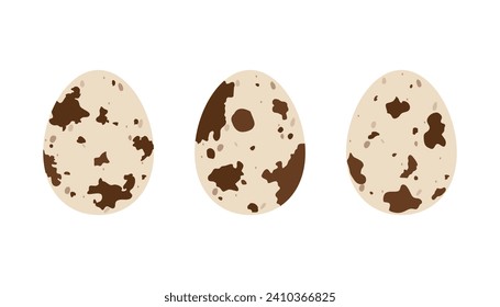 Flat quail eggs. Cartoon vector illustration isolated on white background