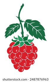 Flat Raspberry with leaves and spotted. Cartoon style. For posters, web, package designs
