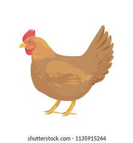 Poule Dessin High Res Stock Images Shutterstock