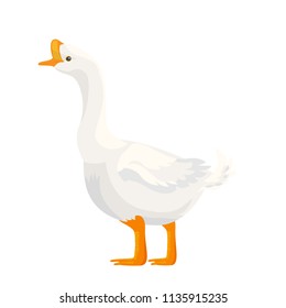 flat realistic character of white goose    farm animal isolation on white background illustration.
