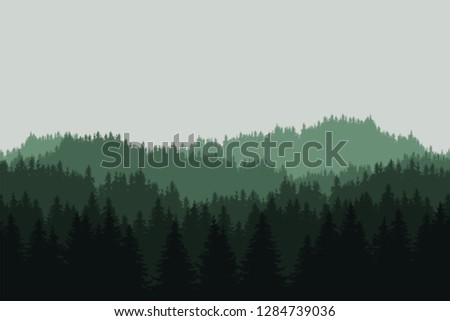 Flat realistic illustration of a green mountain landscape with coniferous forest with trees and hills under a gray sky - vector