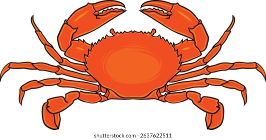 Flat red crab vector illustration, perfect for seafood branding, marine design, restaurant menus, educational materials, and beach-themed content. Isolated on white background. Red Crab Vector