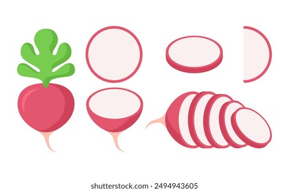 Flat red radish in different form with rounded corner style isolated on white background