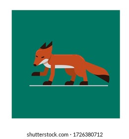 flat red, white and black fox vector illustration