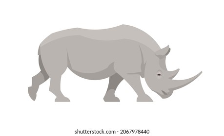 Flat rhinoceros. Vector illustration. Collection