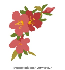 flat rose flower vector isolated on white background. bouquet decoration design.