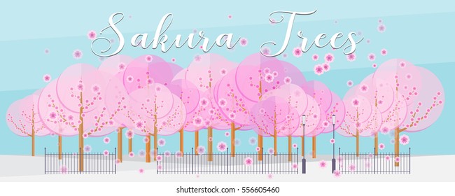 Flat sakura trees, wide panoramic background. Pink beautiful flowers flying in air, blue sky and cherry trees.