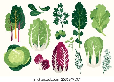 Flat salad. Cartoon healthy vegan food ingredients, fresh greens and spices, healthy food and low callories concept. Vector isolated set.