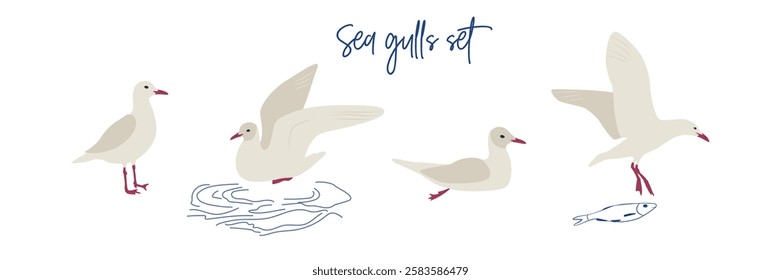 Flat Seagulls set illustrations. Vector cliparts of sea wild birds. Fasherman aesthetic