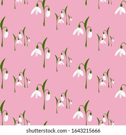 Flat seamless floral pattern in vector. Spring snowdrops Isolated on pink background.