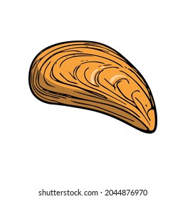 Flat seashell, hand-drawn sea symbol. Fossil conch painted by ink, pen. Line, colored doodle, minimalism. Simple sketchy icon. Isolated. Vector illustration.