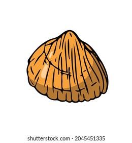 Flat seashell, hand-drawn sea symbol. Fossil conch painted by ink, pen. Line, colored doodle, minimalism. Simple sketchy icon. Isolated. Vector illustration.