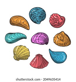 Flat seashells set, hand-drawn sea symbols. Fossil conches painted by ink, pen. Line, colored doodle, minimalism. Simple sketchy icons. Isolated. Vector illustration.