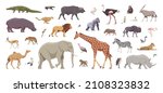 Flat set of african animals. Isolated animals on white background. Vector illustration. Collection